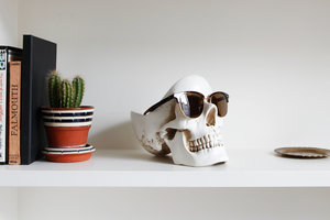 skull stuff for home