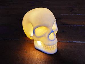 Skull Light on Floorboards