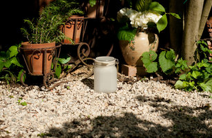 sun-jar in garden
