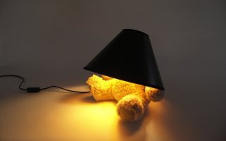 Teddy Light