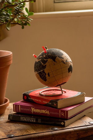 world globe with push pins near window